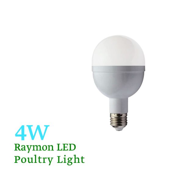لامپ 4 وات مرغ داری